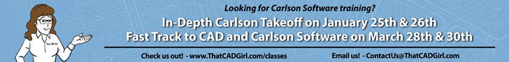 That CAD Girl Banner